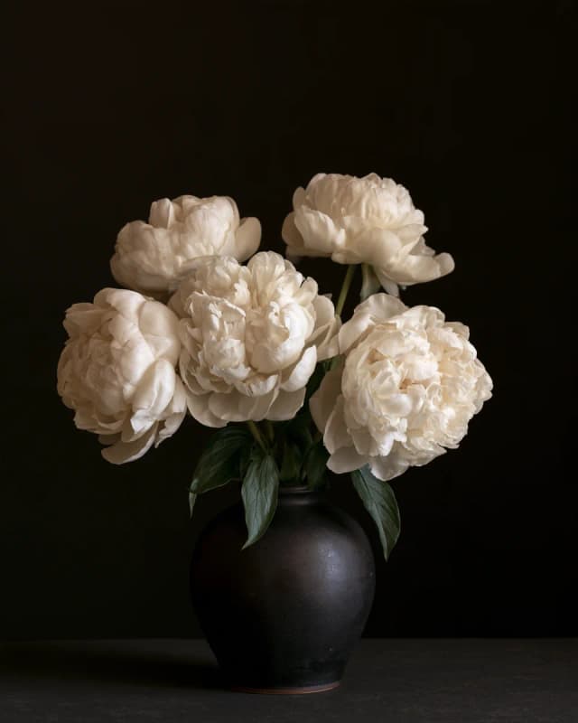 White Peonies