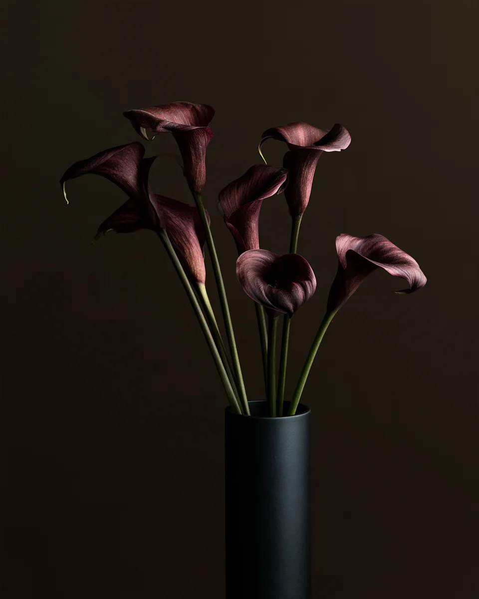 Black Calla